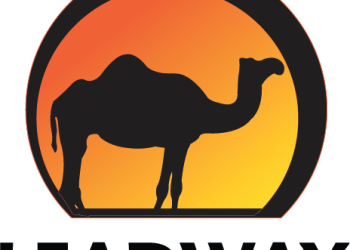 Leadway Group showcases Unified Products, Services Via Leadway One Campaign