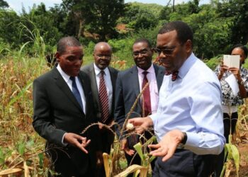 Gambia Join African Development Bank Group To Boost Rice Output In Bid To Uplift Youth, Women Entrepreneurs