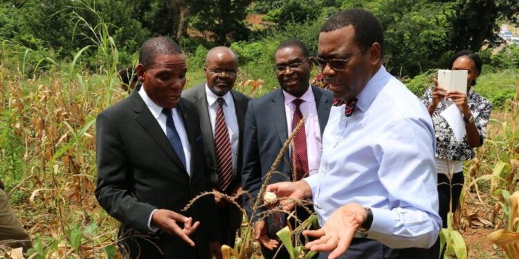 Gambia Join African Development Bank Group To Boost Rice Output In Bid To Uplift Youth, Women Entrepreneurs