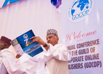 Promote Positive Reports On Nigeria; Minister of Information Tells Online Publishers