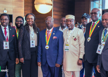 Kyari Calls For Adaptation To Changing Energy Landscape