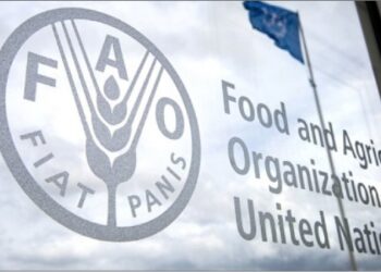 Food and Agriculture Organization