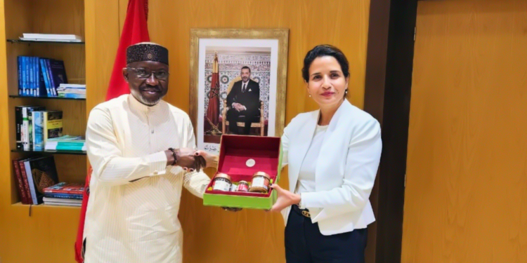 FG, Morocco In Talks To Expedite Gas Pipeline Project