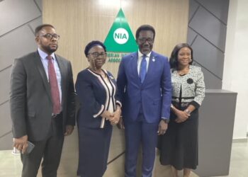 Economic Downturn : We are Prepared To Give Backings To Businesses, Institutions, lndividuals – NIA