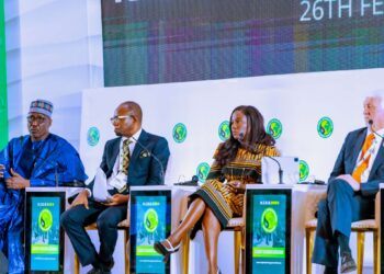 NNPC Ltd, OPEC Pledge Collaboration To Attract Investments, Grow Production 