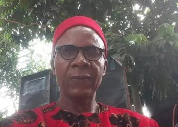 ADUN  Lagos to Celebrate Rich Cultural Heritage, Tradition At 12th Biannual  Awka Day 2024