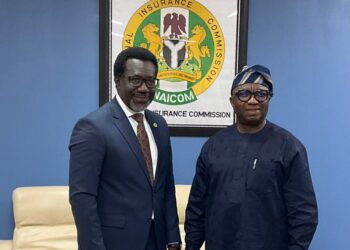 NAICOM ls Ready To Collaborate With NDPC – Omosehin