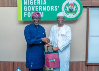NAICOM To Collaborate With Nigeria Governors’ Forum To Deepen Insurance  Penetration