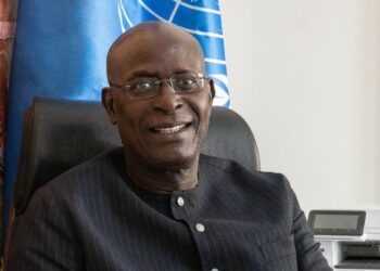 Humanitarian Crises: Why Nigeria Needs Collective Response – UN Rep, Fall