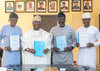 Data Protection In Insurance Sector: NAICOM, NDPC Sign MoU