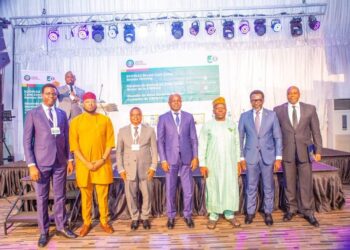 Nigeria Hosts First Zonal ECOWAS Brown Card Meeting