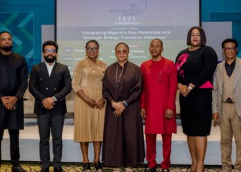 Energy Experts Proffer Solution To Nigeria’s Energy Conundrum