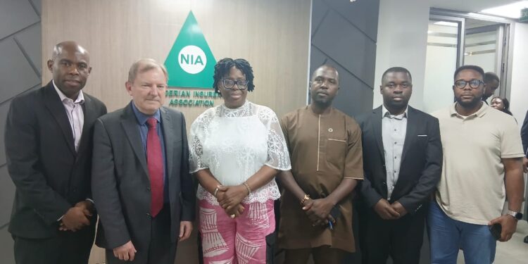 NIA Partners UNDP, Milliman To Organise Free Actuarial Capacity Building Training For Insurers