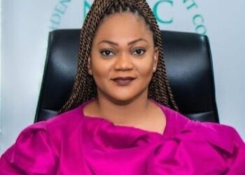 NIMC Drives Nigeria’s Digital Public Infrastructure To Enhance Service Delivery and National Security